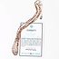 Serenity Morse Code Rope Necklace - Silver/Pink/Topaz
