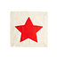 Red Star Pillow Panel