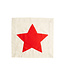 Red Star Pillow Panel