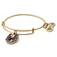 Fortune's Favor Charm Bangle Bracelet