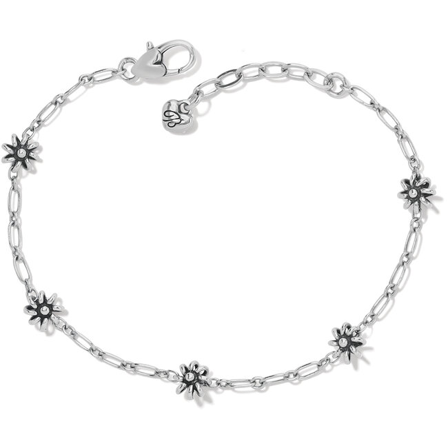 Brighton anklets cheap