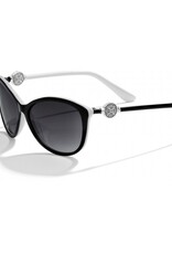 BRIGHTON Ferrara Sunglasses in Black & White