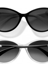 BRIGHTON Ferrara Sunglasses in Black & White