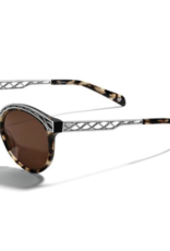 BRIGHTON Sydney Sunglasses
