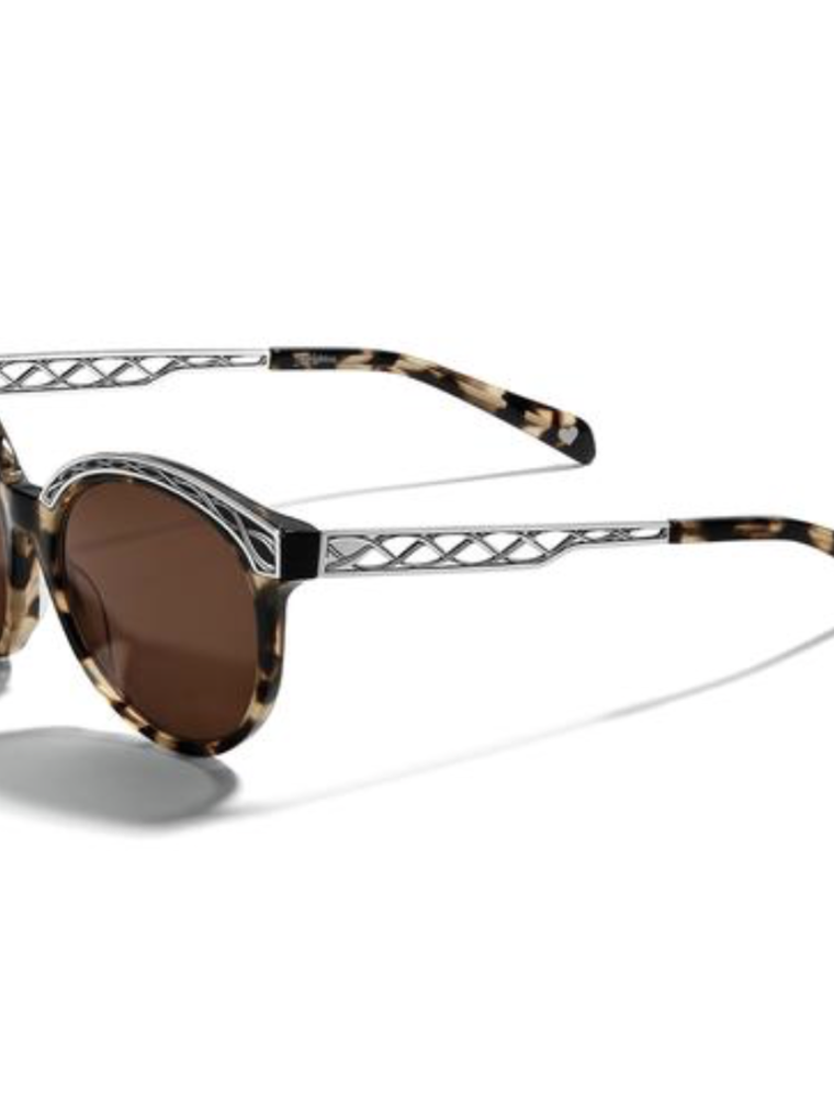 BRIGHTON Sydney Sunglasses