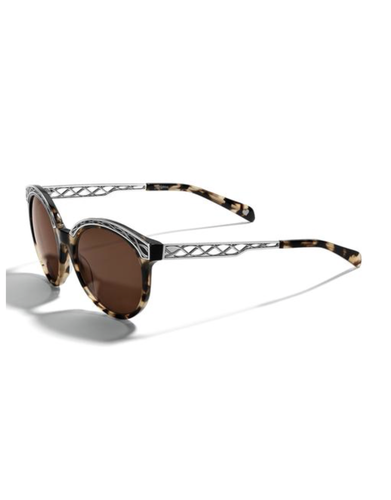BRIGHTON Sydney Sunglasses