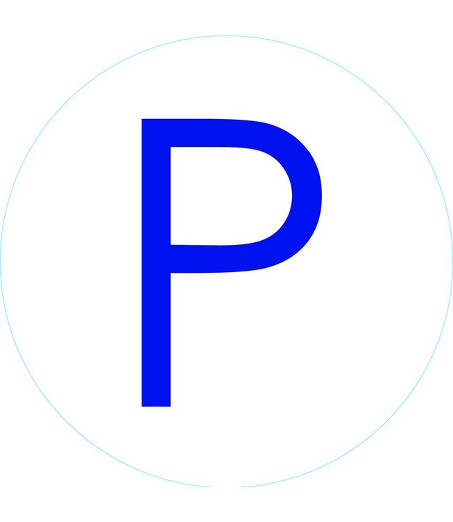 Bogg Bit - Initial "P"