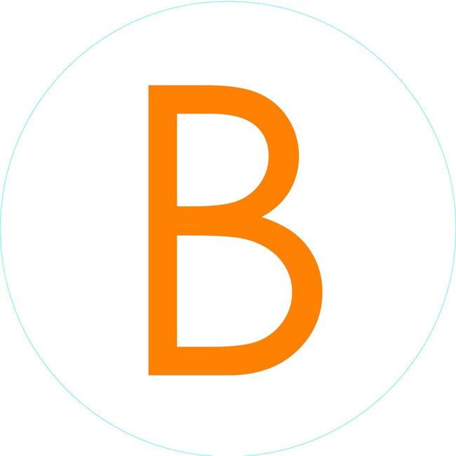 Bogg Bit - Initial "B"