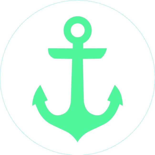 Bogg Bit - Turquoise Anchor
