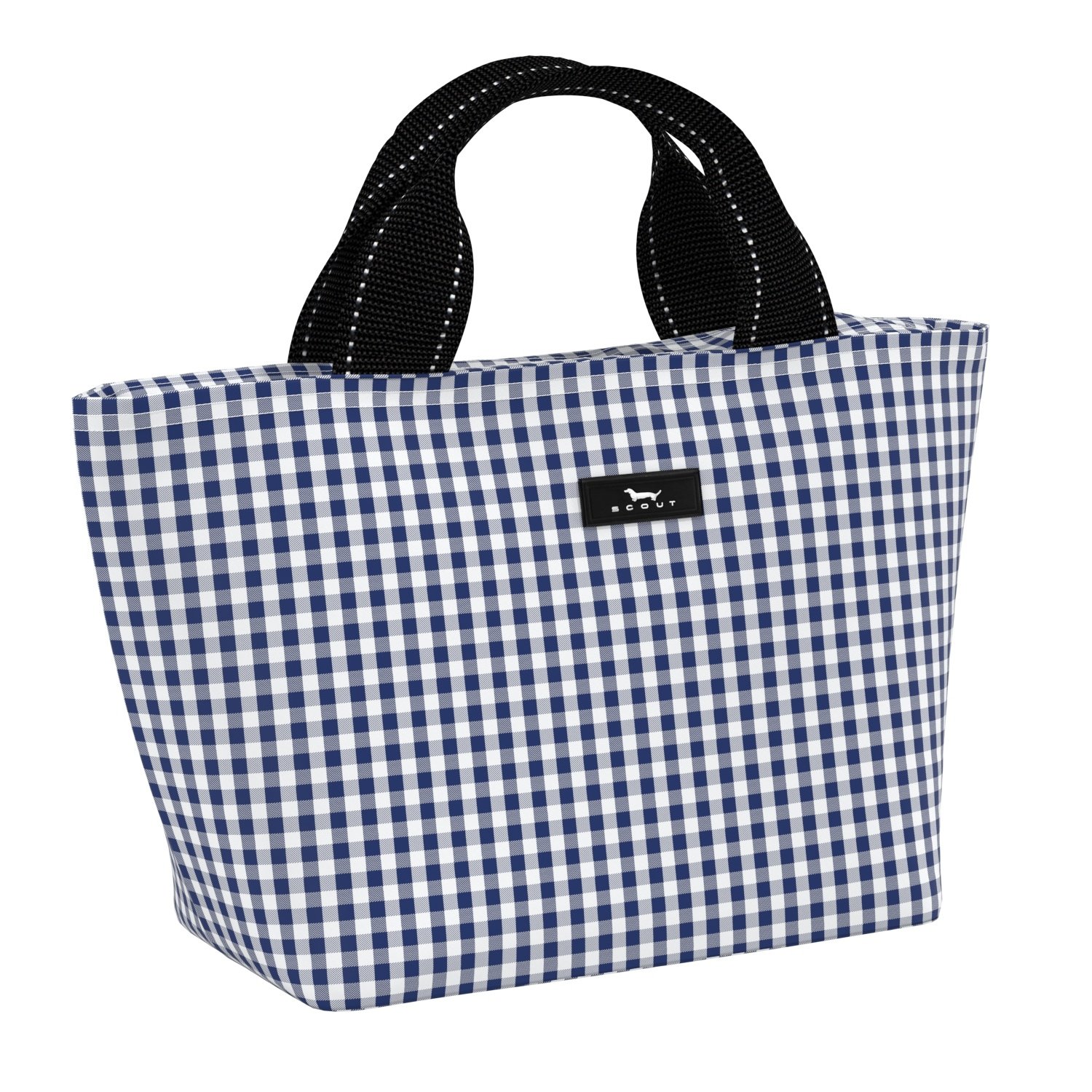 Lunchbox in Blue Check