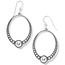 Pretty Tough Oval French Wire Earrings