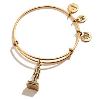 ALEX & ANI The Office Dundie Award Charm Bangle