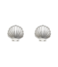 Delicate Shell Stud Earrings