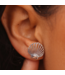 Delicate Shell Stud Earrings
