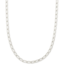Merrick Chain Necklace in Silver