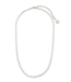 Merrick Chain Necklace in Silver