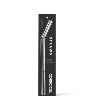 CORKCICLE Tumbler Straw 2-Pack in Stainless