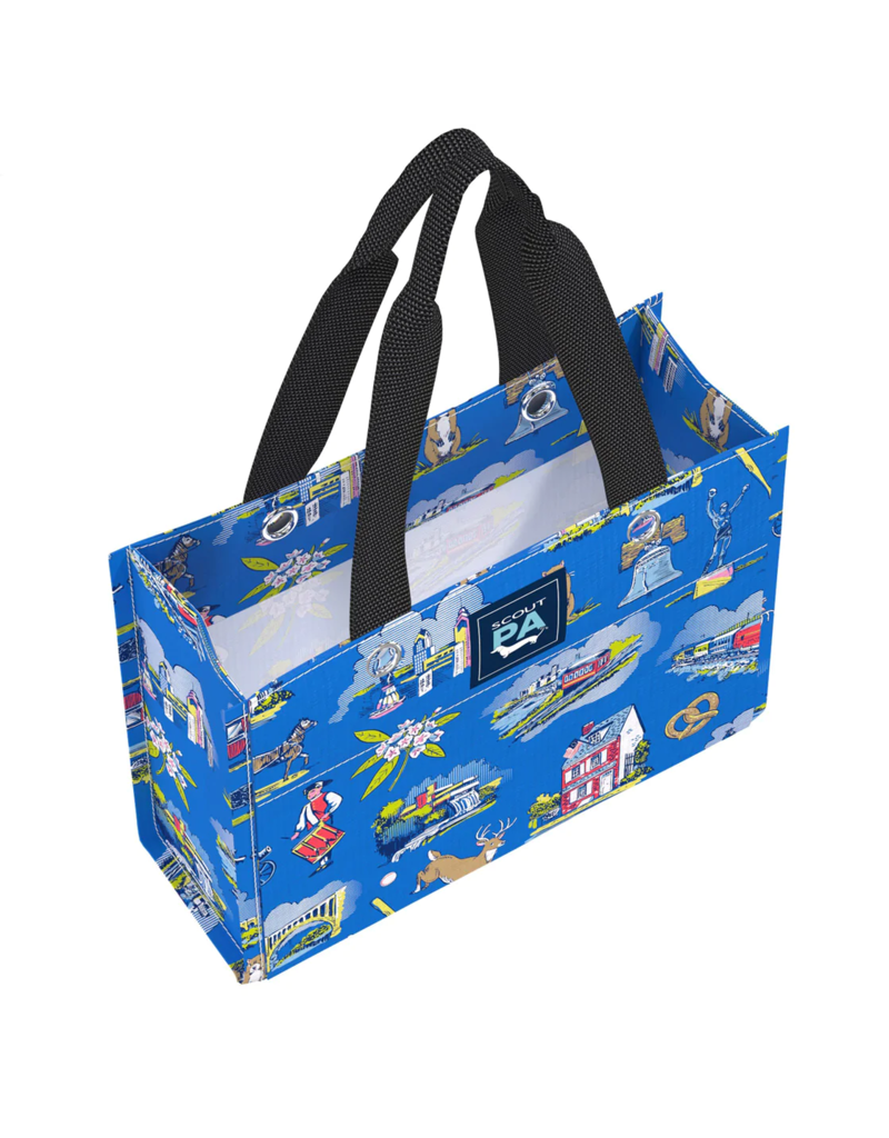 SCOUT Tiny Package Gift Bag in Pennsylvania