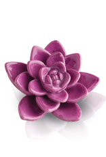 NORA FLEMING Get Growing Mini