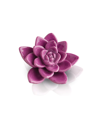 NORA FLEMING Get Growing Mini