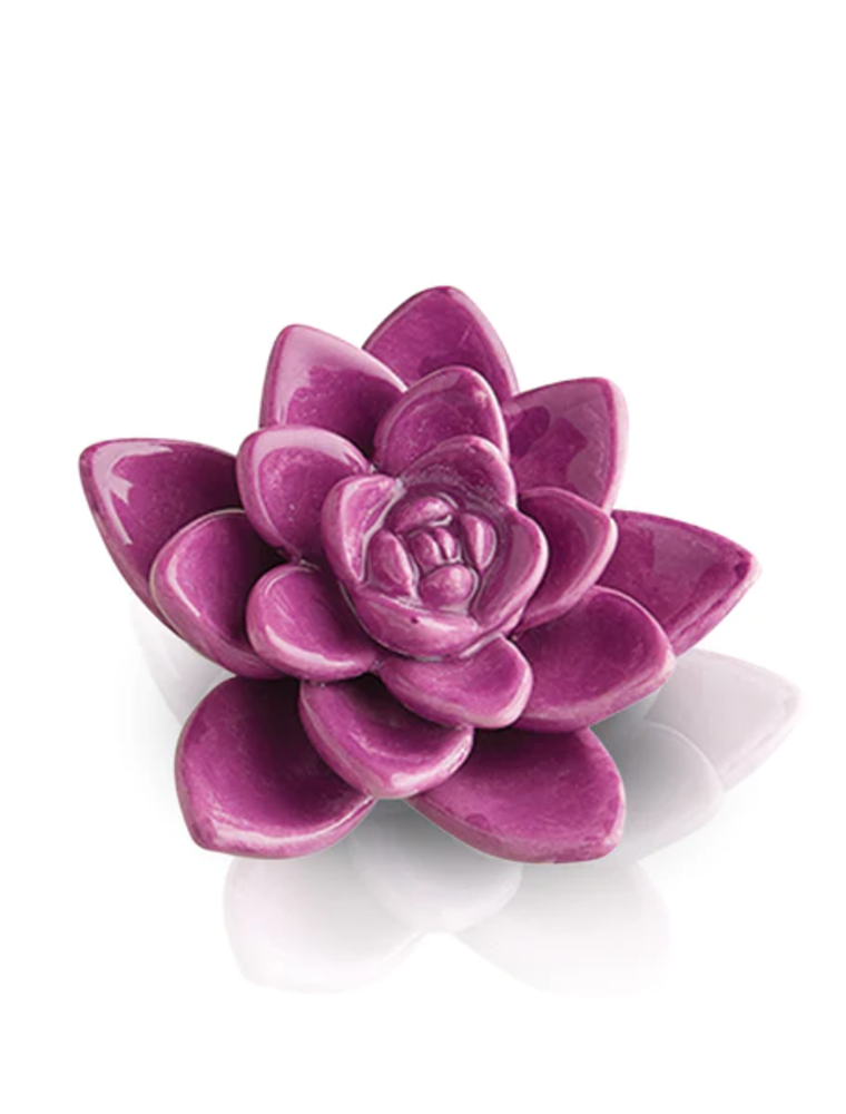 NORA FLEMING Get Growing Mini