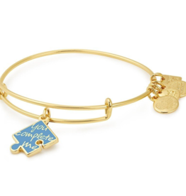 ALEX & ANI You Complete Me Charm Bangle in Gold