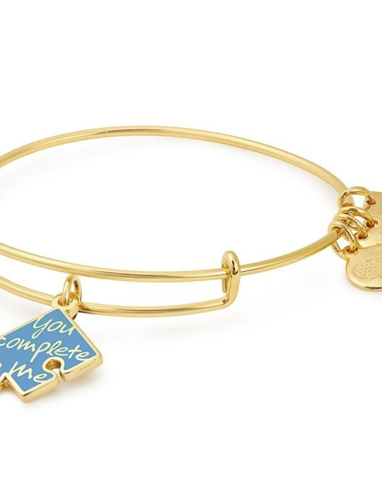 ALEX & ANI You Complete Me Charm Bangle in Gold