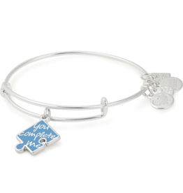 ALEX & ANI You Complete Me Charm Bangle in Silver