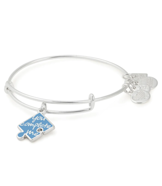 ALEX & ANI You Complete Me Charm Bangle in Silver