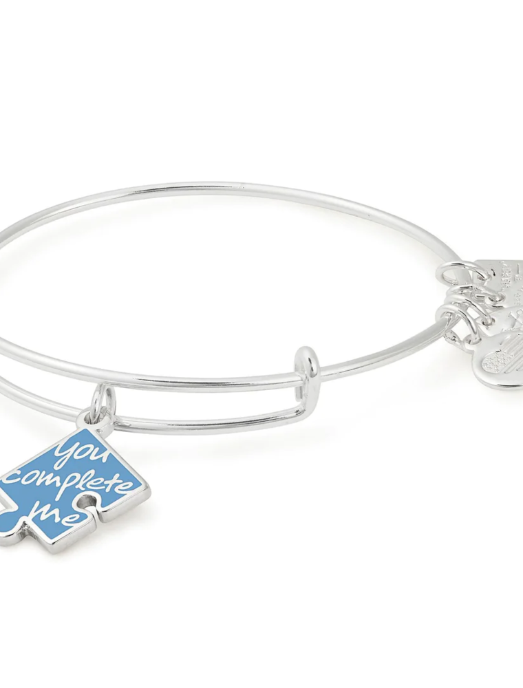 ALEX & ANI You Complete Me Charm Bangle in Silver