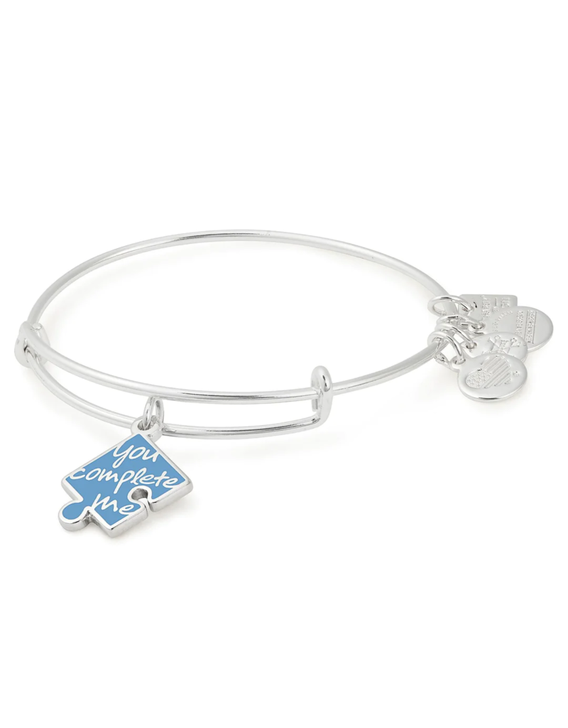 ALEX & ANI You Complete Me Charm Bangle in Silver