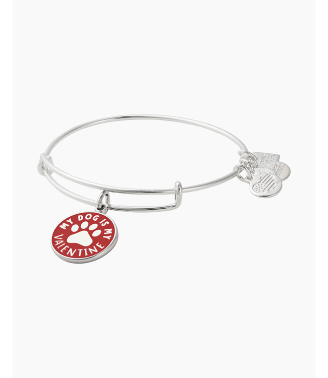 'My Dog Is My Valentine' Charm Bangle in Silver