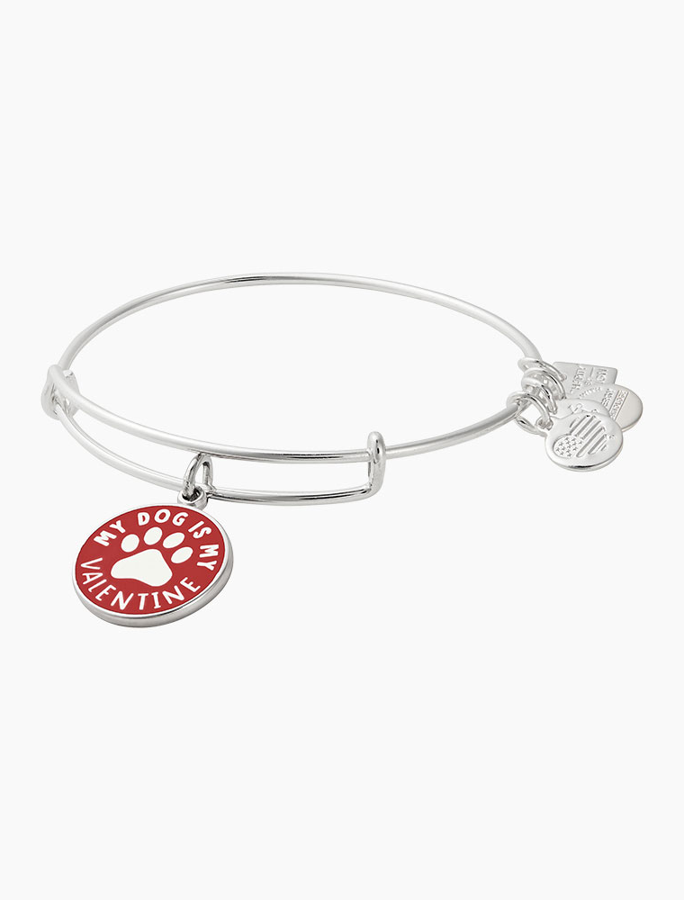 ALEX & ANI 'My Dog Is My Valentine' Charm Bangle in Silver