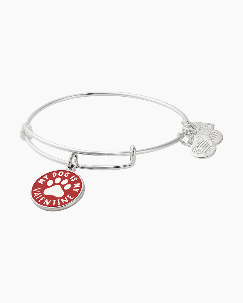 ALEX & ANI 'My Dog Is My Valentine' Charm Bangle in Silver