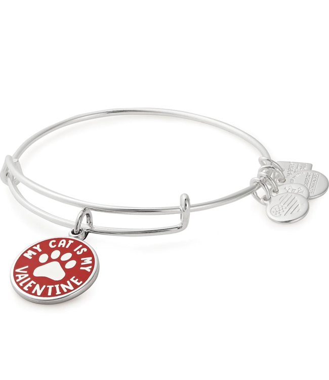'My Cat Is My Valentine' Charm Bangle in Silver