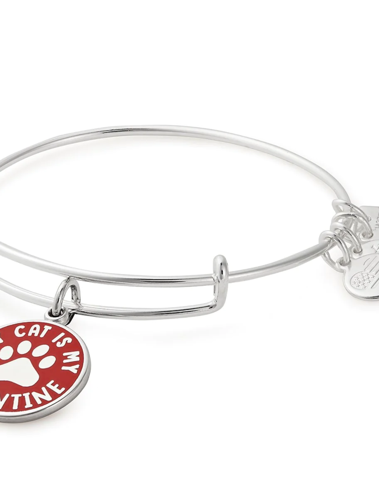 ALEX & ANI 'My Cat Is My Valentine' Charm Bangle in Silver