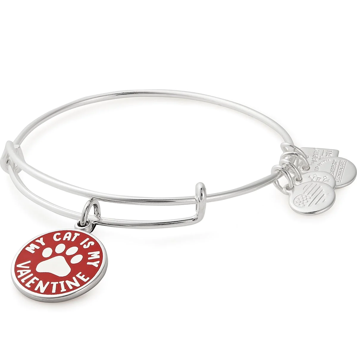 ALEX & ANI 'My Cat Is My Valentine' Charm Bangle in Silver