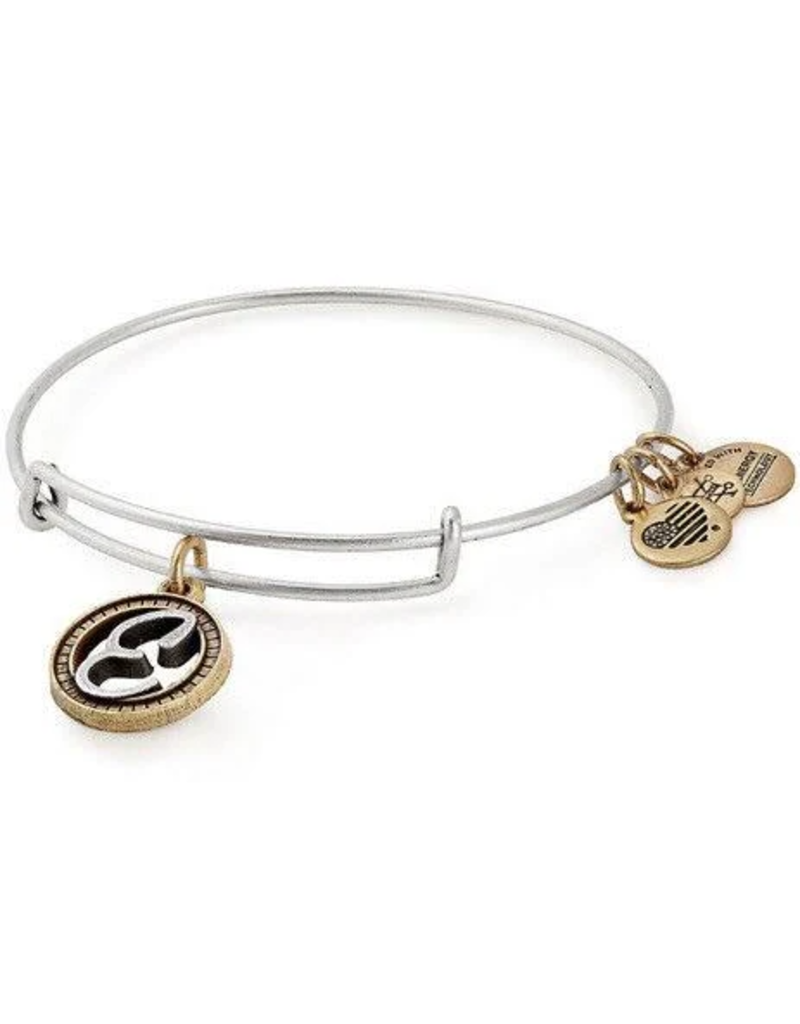 ALEX & ANI Two Tone Initial E Charm Bangle