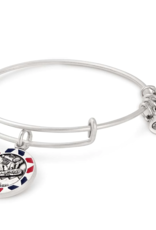 ALEX & ANI Snowboarding Charm Bangle in Silver