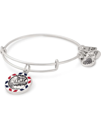 ALEX & ANI Snowboarding Charm Bangle in Silver