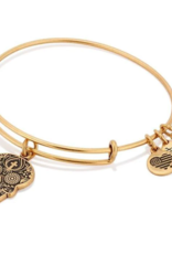 ALEX & ANI Calavera Charm Bangle in Gold