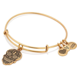 ALEX & ANI Calavera Charm Bangle in Gold