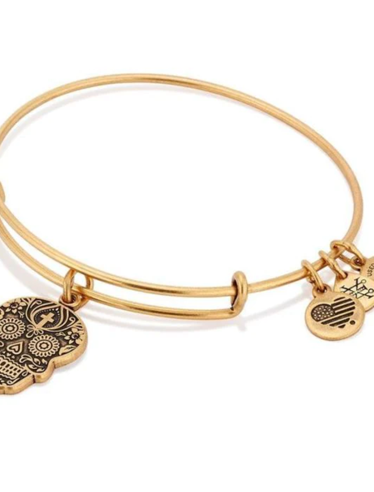 ALEX & ANI Calavera Charm Bangle in Gold