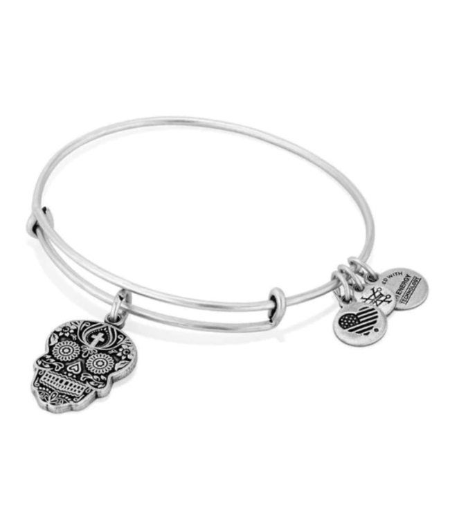 Calavera Charm Bangle in Silver