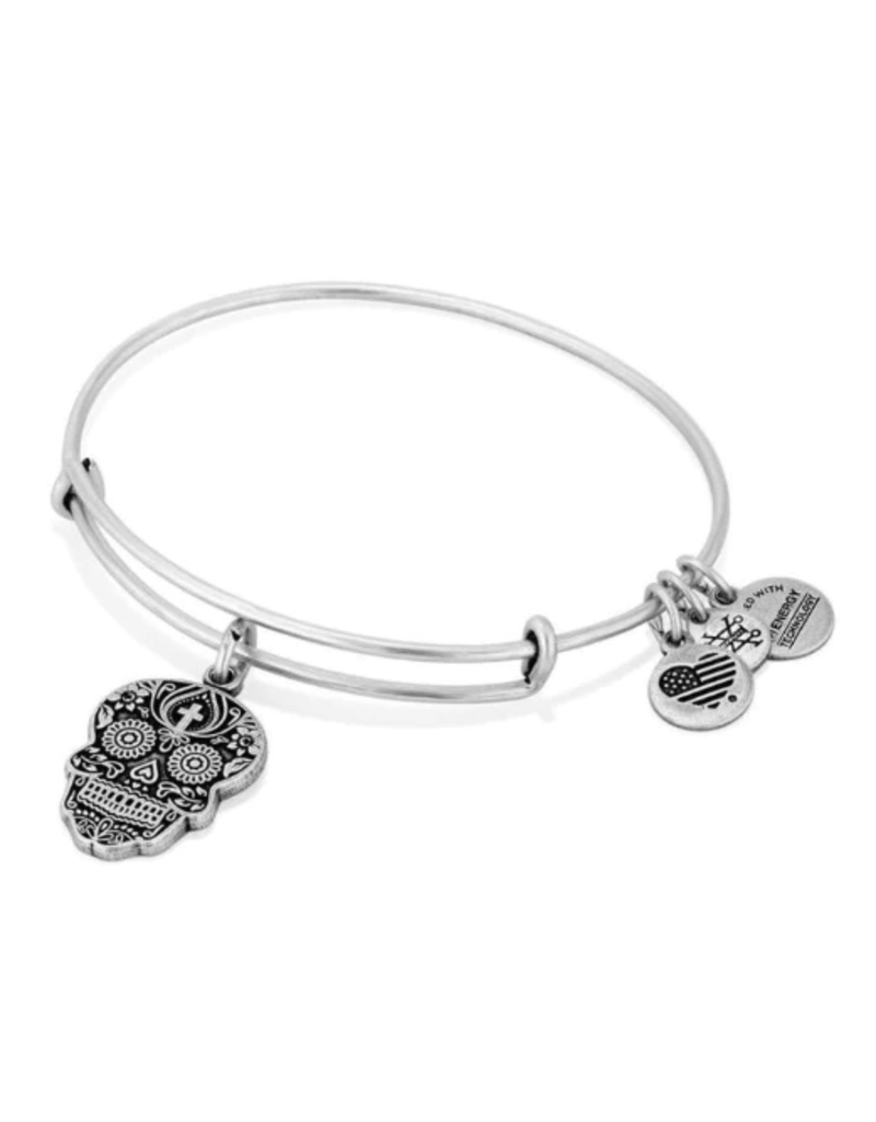 ALEX & ANI Calavera Charm Bangle in Silver