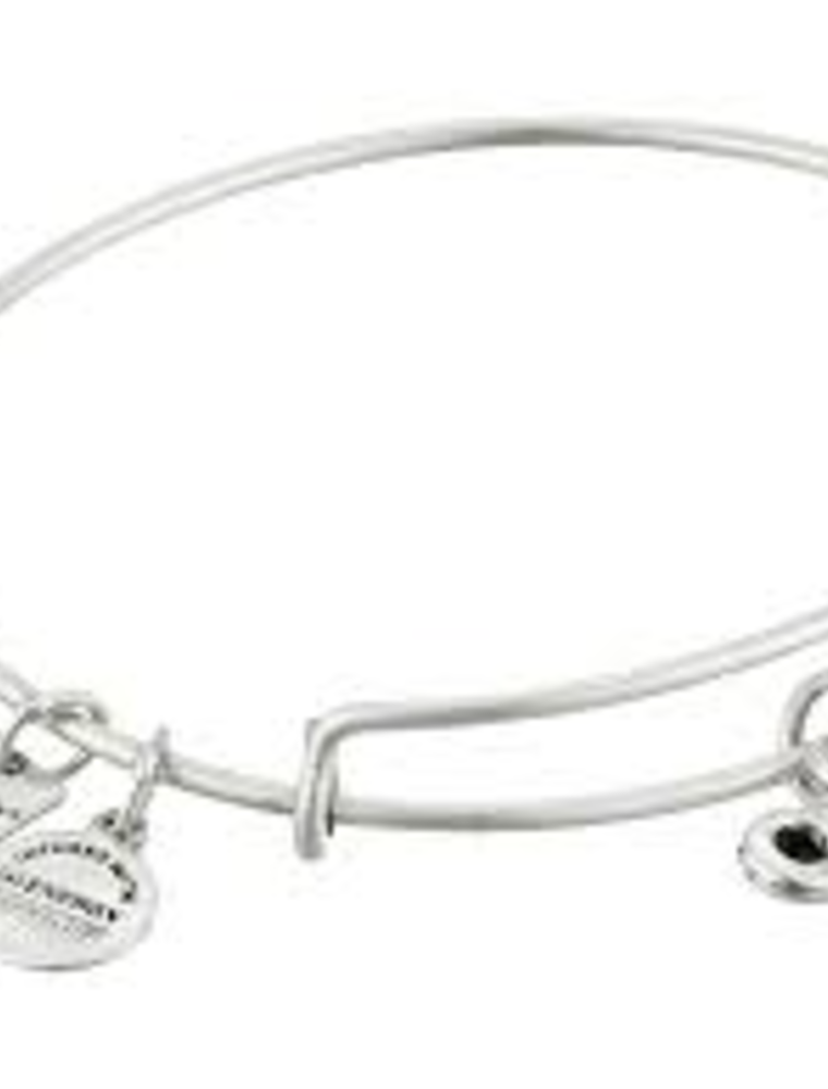 ALEX & ANI Lamp of Light Bangle in Silver
