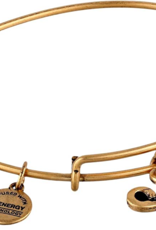 ALEX & ANI Lamp of Light Bangle in Gold