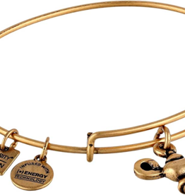 ALEX & ANI Lamp of Light Bangle in Gold