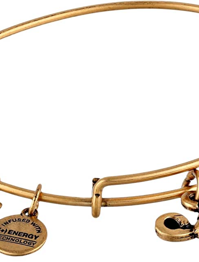 ALEX & ANI Lamp of Light Bangle in Gold