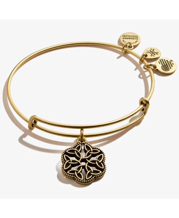 Endless Knot Charm Bangle in Gold